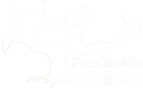 Fundación CEPA