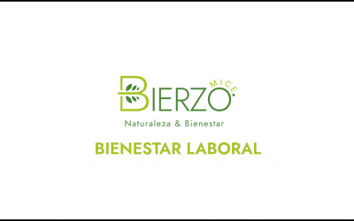 II Congreso Turismo MICE Rural de Bienestar